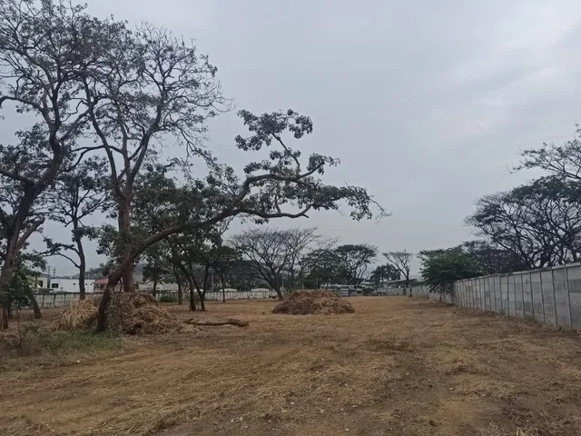 Terreno comercial en alquiler y venta en La Aurora, Daule · 10,500 m², foto 3