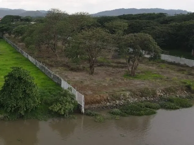 Terreno comercial en alquiler y venta en La Aurora, Daule · 10,500 m², foto 5