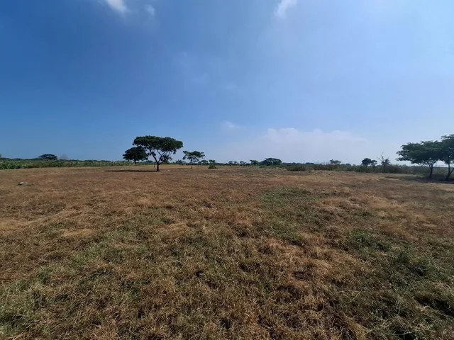 Terreno industrial en venta en vía Durán Yaguachi, Yaguachi · 20,582 m², foto 8