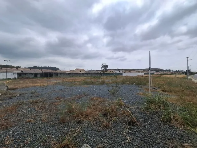 Terreno comercial en alquiler en La Aurora, Daule · 2,768 m², foto 7